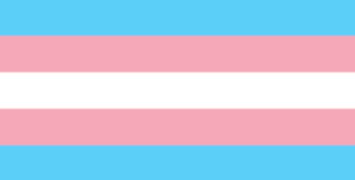 Congresswoman hangs transgender flag outside office